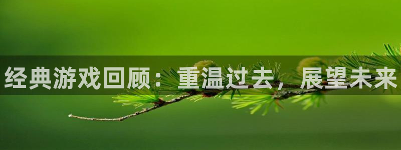 辉达娱乐平台登录入口：经典游戏回顾：重温过去，展望未来