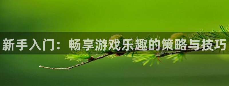 辉达娱乐注册测速：新手入门：畅享游戏乐趣的策略与技巧
