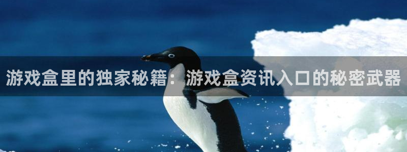 辉达娱乐网页登录入口官网：游戏盒里的独家秘籍：游戏盒资讯入口