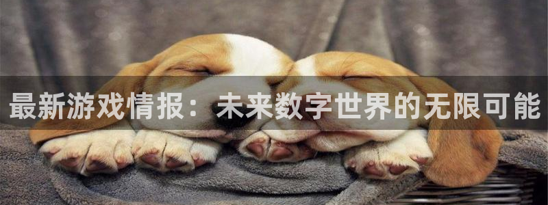 辉达娱乐平台登陆：最新游戏情报：未来数字世界的无限可能