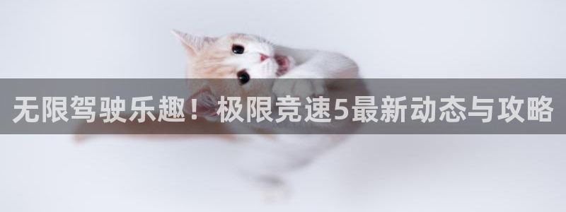 辉达娱乐注册网站：无限驾驶乐趣！极限竞速5最新动态与攻略