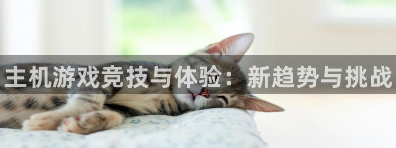 辉达娱乐