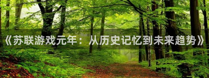 辉达娱乐登录地址：《苏联游戏元年：从历史记忆到未来趋势》