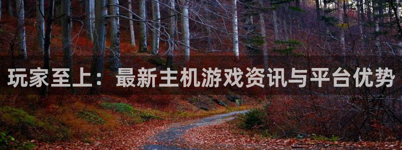 辉达娱乐平台登陆