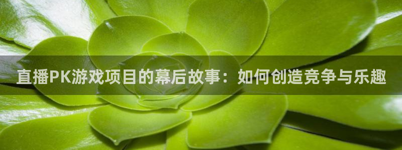 辉达娱乐手机网页版登录：直播PK游戏项目的幕后故事：如何创造