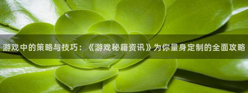 辉达娱乐注册平台：游戏中的策略与技巧：《游戏秘籍资讯》为你量