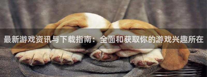 辉达娱乐官网登录：最新游戏资讯与下载指南：全面和获取你的游戏