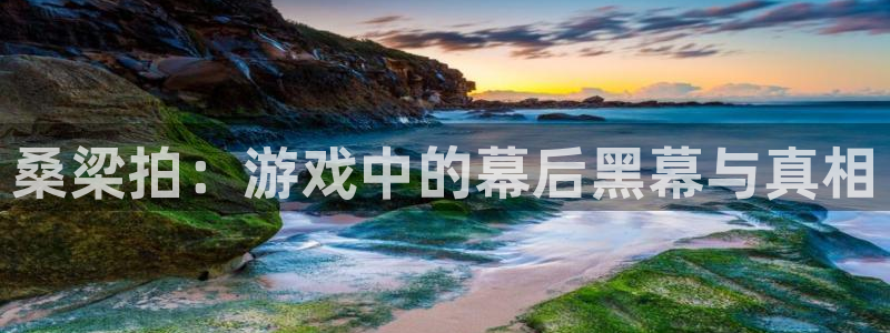 辉达娱乐游戏：桑梁拍：游戏中的幕后黑幕与真相