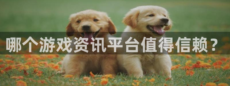 辉达娱乐平台官网客服电话：哪个游戏资讯平台值得信赖？
