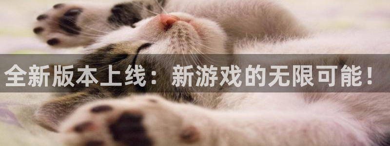 辉达娱乐：全新版本上线：新游戏的无限可能！