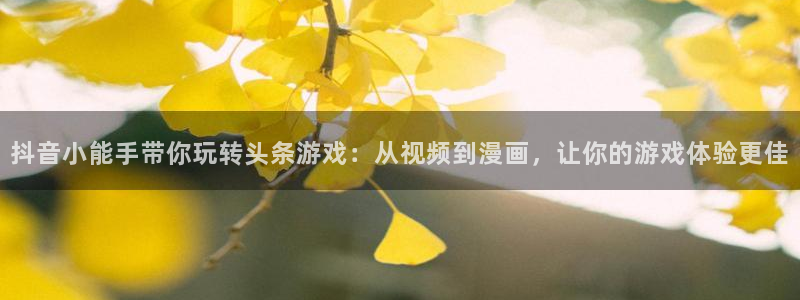 手机辉达娱乐下载安装