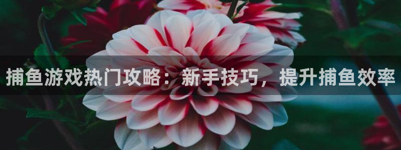 辉达娱乐网页登录入口官网：捕鱼游戏热门攻略：新手技巧，提升捕