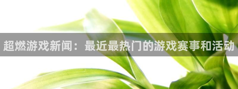 辉达娱乐下载：超燃游戏新闻：最近最热门的游戏赛事和活动