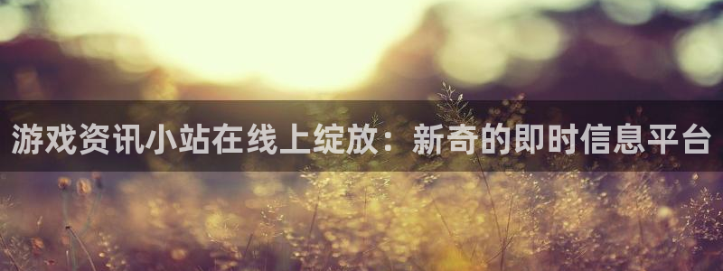 辉达娱乐网页登录入口：游戏资讯小站在线上绽放：新奇的即时信息